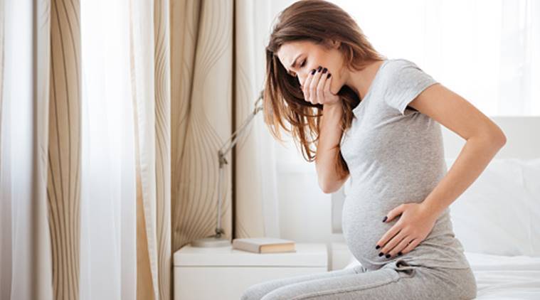 النمو الجنيني : تطور الجنين في الثلث الثاني من الحمل