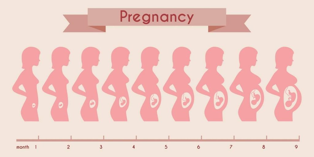 كم عدد أسابيع الحمل الطبيعي؟