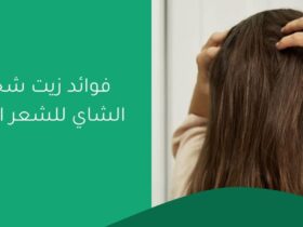 فوائد زيت شجرة الشاي للشعر الجاف