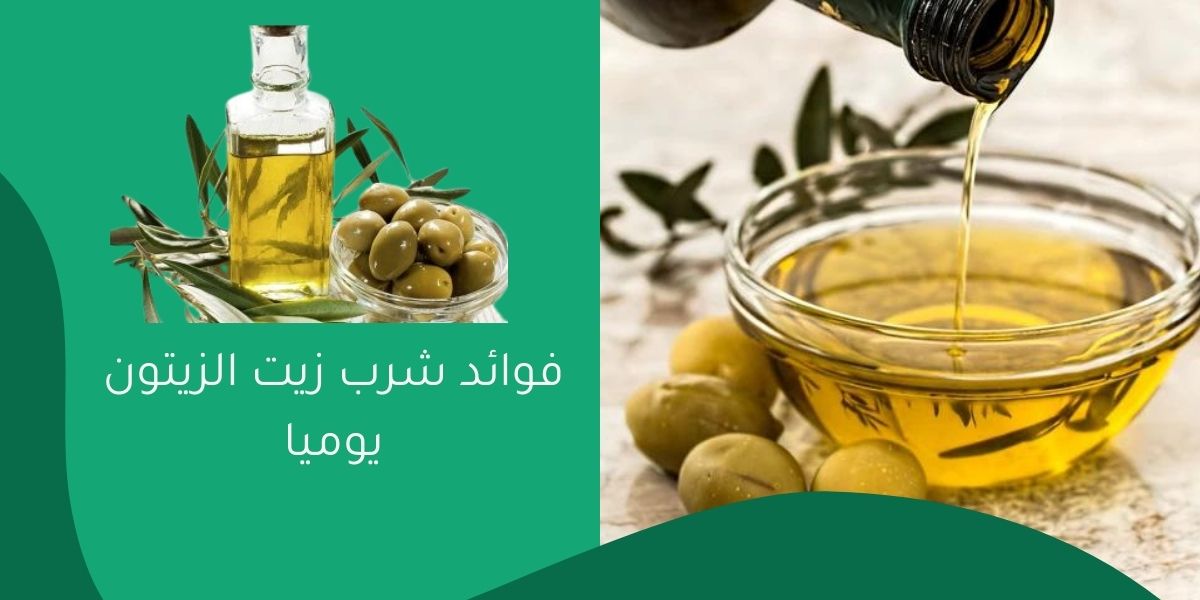 فوائد شرب زيت الزيتون يوميا