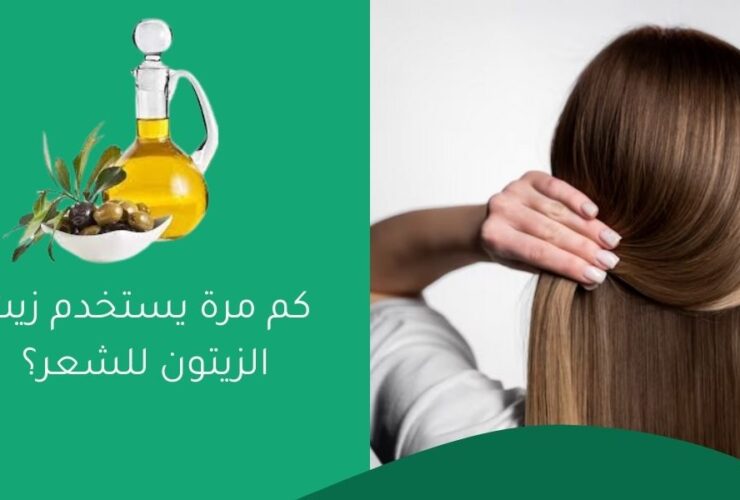 كم مرة يستخدم زيت الزيتون للشعر