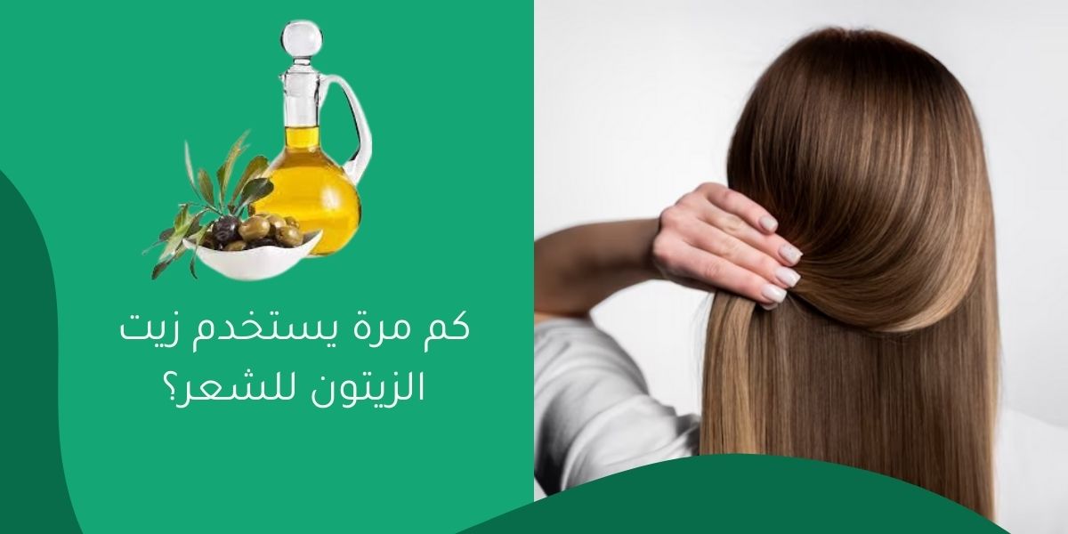 كم مرة يستخدم زيت الزيتون للشعر